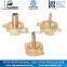 Cast Bronze Air Hose Coupling