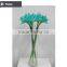 Cheap wholesale large amaryllis for Halloween arrangement