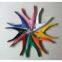 nail cutter