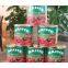 Canned Tomato Paste, Ketchup, Tomato Sauce