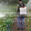 Gasoline Agricultural Powerful Fruit Tree Sprayer Insecticide Sprayer Pumps