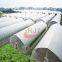 Agricultural Single Span Plastic Film Greenhouse  Agricultural Single Span Greenhouse