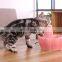 Automatic Cyclic Live Water Fountain Ceramic Fish-shaped Pet Bowl Cats Dogs Bowl Neck Protection