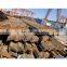 Unequal Steel angle 150x100x10
