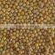 Organic yellow mung bean