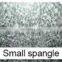 Galvanized Steel coil  spangle