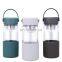2021 Gint Summer  BPA free bottle with holder food grade customized with tea filter new product 500ml  water bottle