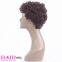 Wholesaler of Dark Brown Short Curly Human Hair Wig