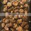 Natural Dry Shiitake Mushrooms Bulk Dried Mushrooms/Wholesale cheap healthy dried shiitake mushroom from Vietnam