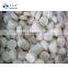 Sinocharm 2022 New Crop Non Worm Crisp IQF Frozen Slice White Radish