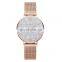 SINOBI S9821L Fair Lady Wristwatch France Stylish Watch Dazzling Feminity Watch Customization Women Watches