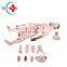 HC-S101 Hot Sale Medical Model Full Functions Wound Care, Nursing Training Manikin Model