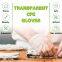 USA Wholesale Eco-Friendly and Skin-Friendly Disposable PE Gloves Powder Free for Kitchen Work Clear Working