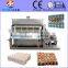 Egg tray, egg paper tray, eggs tray machine factory direct sell, egg tray machine from waste paper