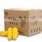 IQF processing Frozen sweet corn cob