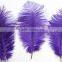 14"-16" Wholesale Purple Ostrich Feather Fabric For Ostrich Feather Fan Decoration