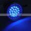 Onlystar GS-8066 factory 3*AAA dry battery uv flashlight for pet urine detector led uv nail lamp
