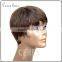 xuchang ceres wholesale cheap short human hair wigs, brazilian human hair wigs for women