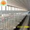 zisa chicken farm layer cage manufacture from china for sale