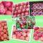 Red delicious Qinguan apple import from China Gansu Tianshui