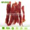pork & white munchy stick dumbbell premium quality organic dog training treat OEM private label