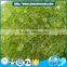 Latest high quality frozen seasoned green flying fish roe for sushi