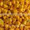 Chinese Healthy Snack Frozen Dried FD Dried Fruit Dried Yellow Peaches