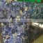 Blue marble slab Chinese factory Mable buyer Blue stone