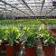 6mm Polycarbonate Hollow Sheet for Green House Construction