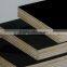Sell Japan Market Plywood/ Marine Plywood