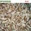 2015 new crop IQF frozen shiitake mushrooms