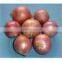 EGYPTION ONION farm fresh shallot onions  super quality  with great price promotion