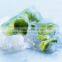 TOP GRADE Broad Green Beans for hot sale and beans from direct factory