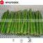 price of frozen green Asparagus green 2015 china