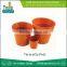 Top Famous Stylish Teracotta Pots Price
