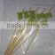 Decorative fruit toothpicks with colorful fruit logo
