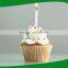 High efficiency cheap automatic birthday candle