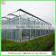 China price multi-span glass greenhouse with drip irrigation for sale