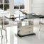 B815-1 modern Home Furniture hot sale Stainless Steel Dining Chair