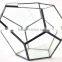Stretched Dodecahedron 3 sizes Geometric Fruit Glass Terrarium