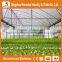 Heracles Trade Assurance low cost agricultural tunnel greenhouses