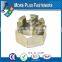 Made in Taiwan Brass Plated Stainless Steel Black Phosphate Half Castle Nut
