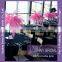 FTH10 Table Centerpiece Tree Wholesale Bulk Ostrich Feathers
