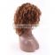 100% density full lace wig virgin brazilian kinky curly full lace wig