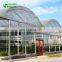 multi-span PE film greenhouse for cucumber planting