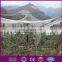 wholesale China merchandise Hot selling bird proof net