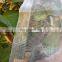 HDPE white yellow weaving insect screen net/anti mosquito netting