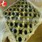 brass pipe flange