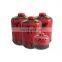 China tvolume LPG gas cylinder 230g and prime butane gas cartridge 230g