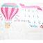Newborn Baby Photography Baby Monthly Organic Milestone Blanket with Cards